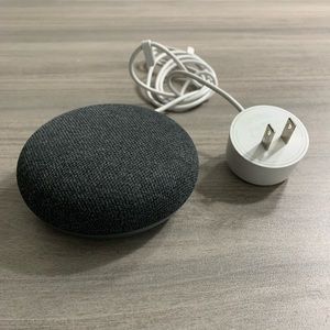 Google Home Nest Mini With Charger (Color: Charcoal)